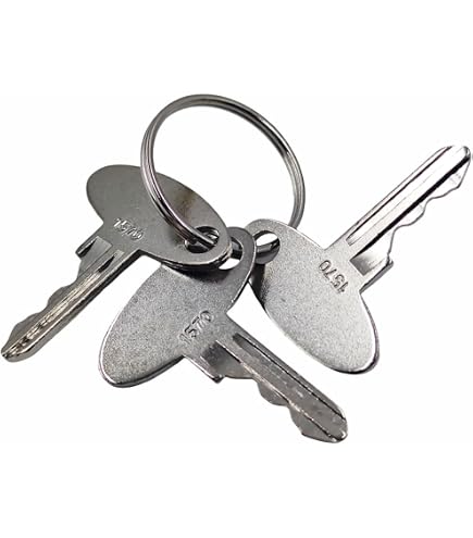 Amazon.com: XYZIL 5X Ignition Key T250 Compatible with Massey